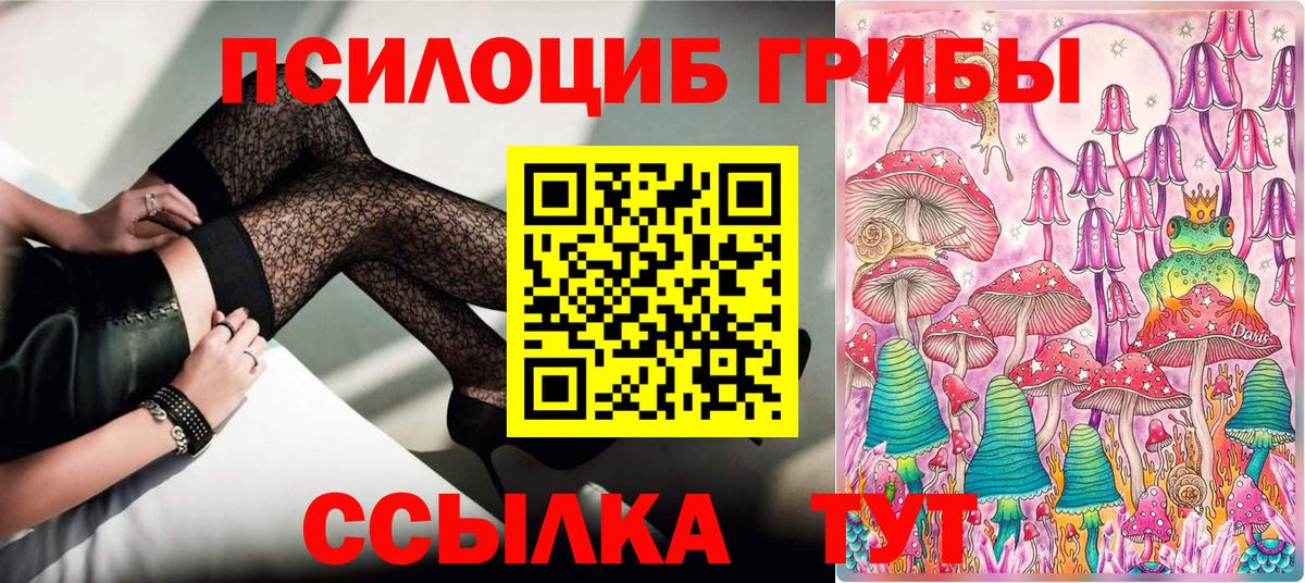 Галлюциногенные грибы ЛСД  Вход с VPN  Славгород 