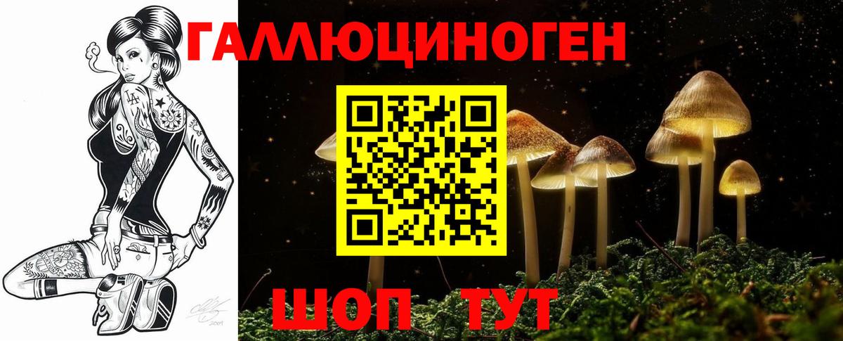 Псилоцибиновые грибы мицелий Славгород